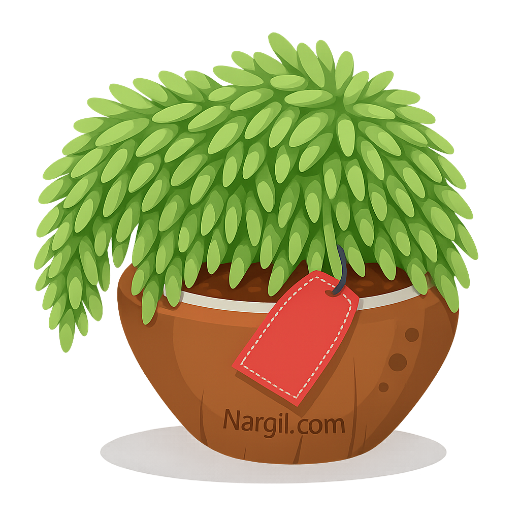  Nargil - burro's tail 